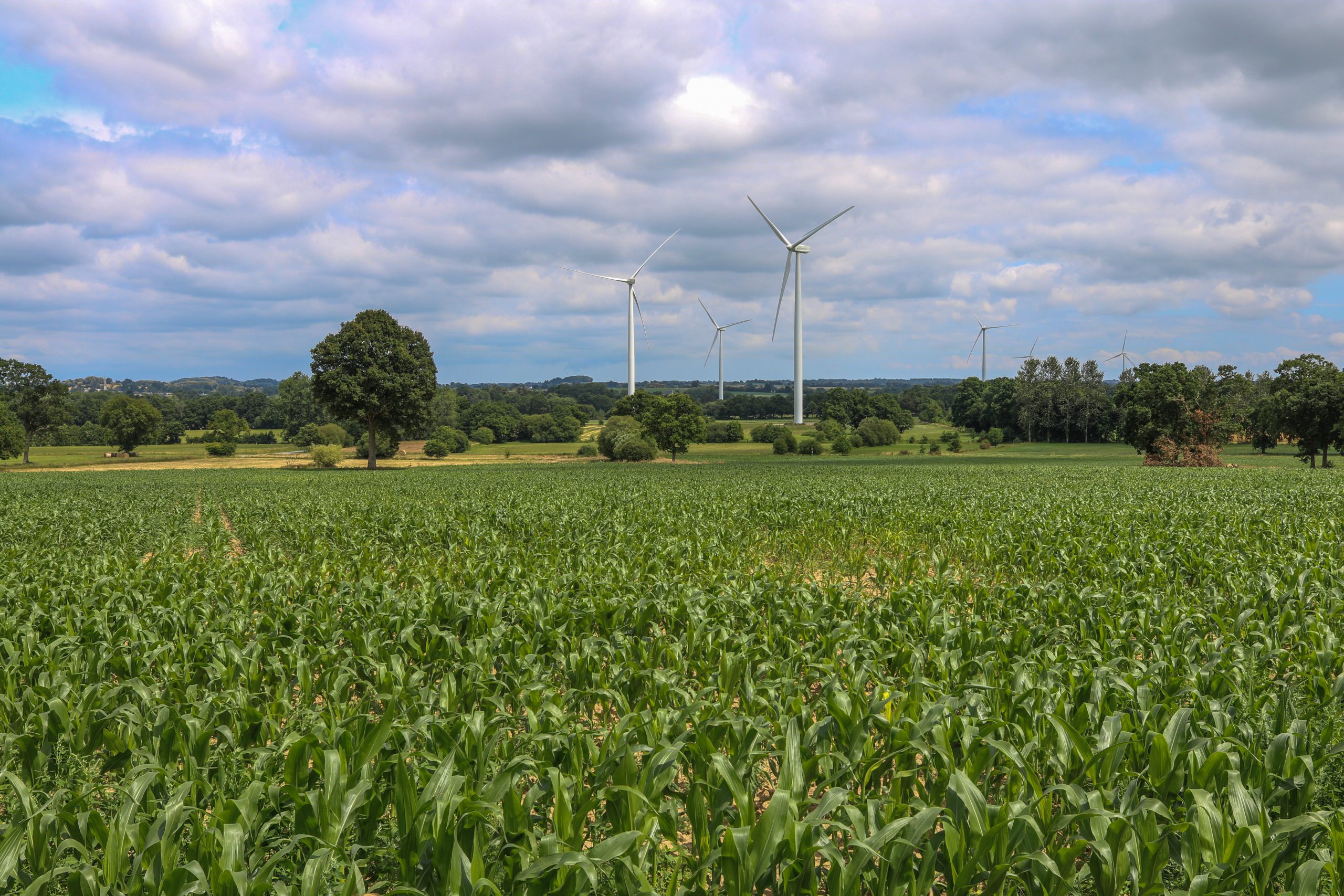 Renewables are the future