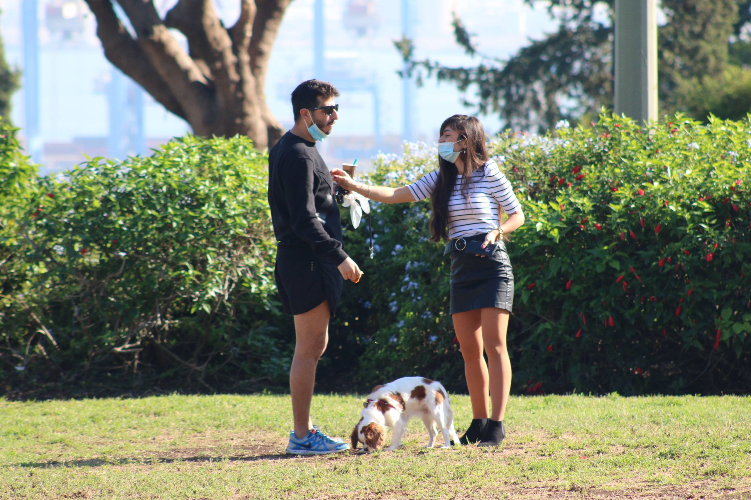 he couple walked hand in hand as their furry friend trotted along beside them