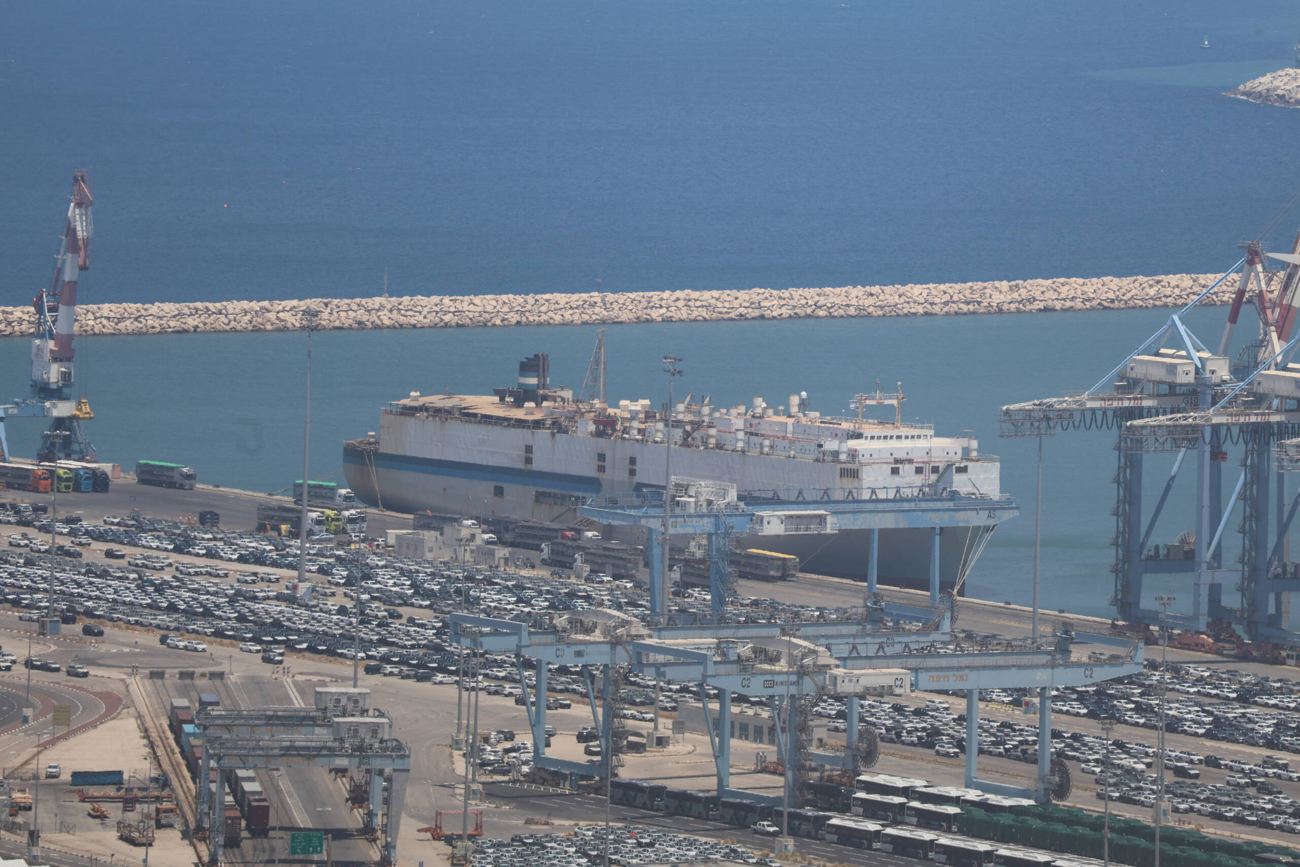 Livestock carrier at port