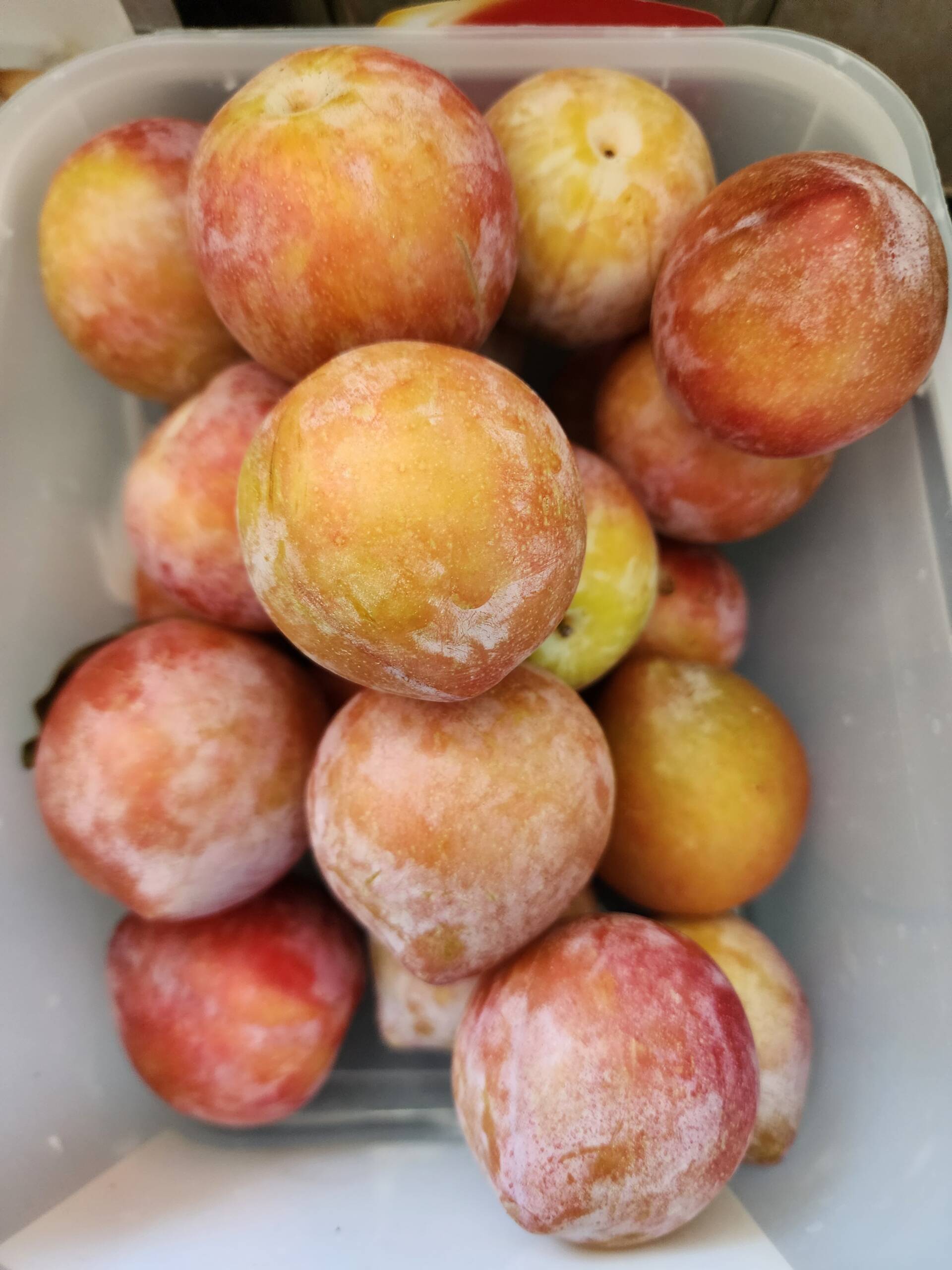 image from Plum Tart Is Coming, and These Are the Plums Going Into It