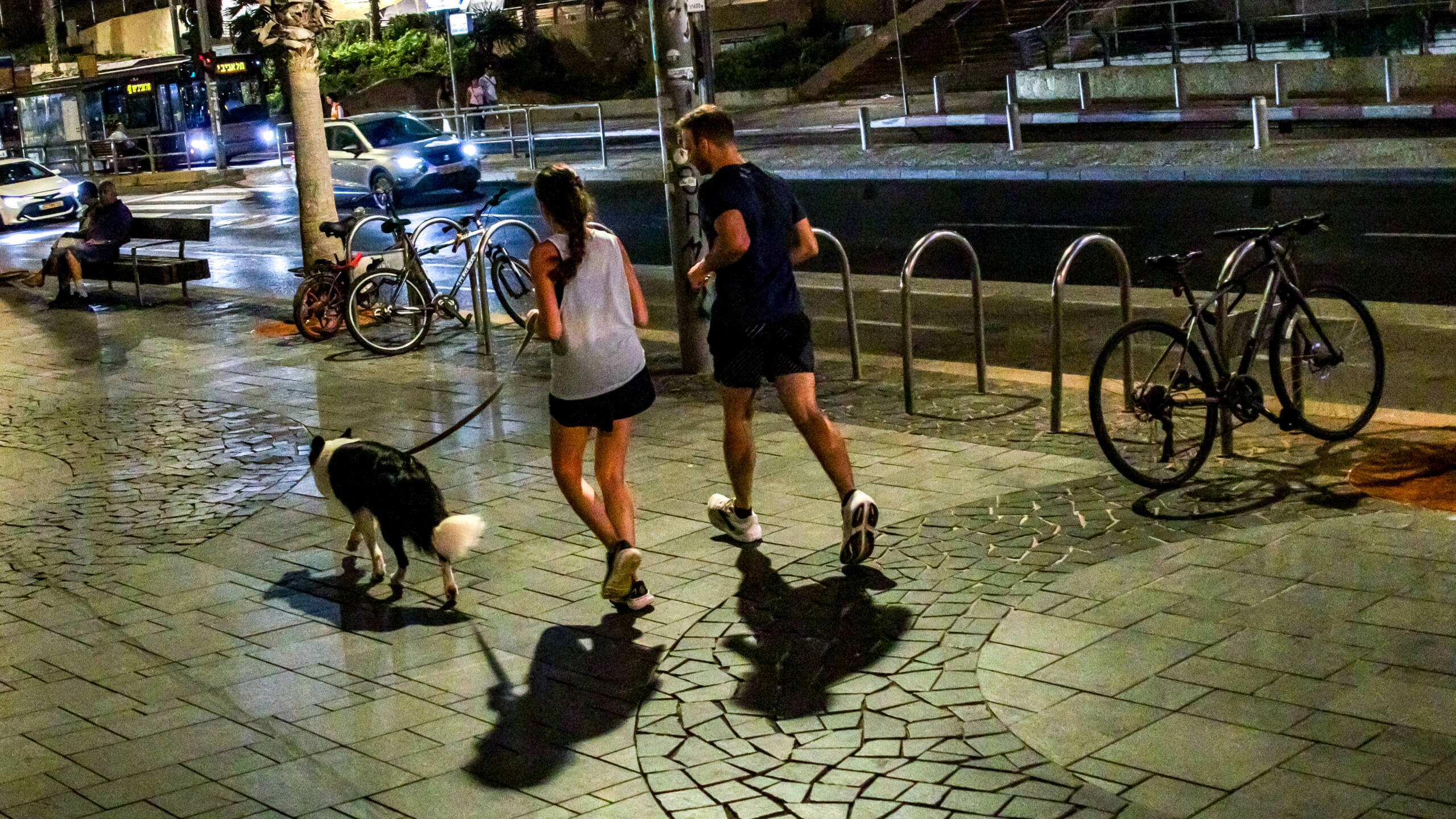 Two runners and a border collie crossing wet paving at night, bike racks and traffic behind