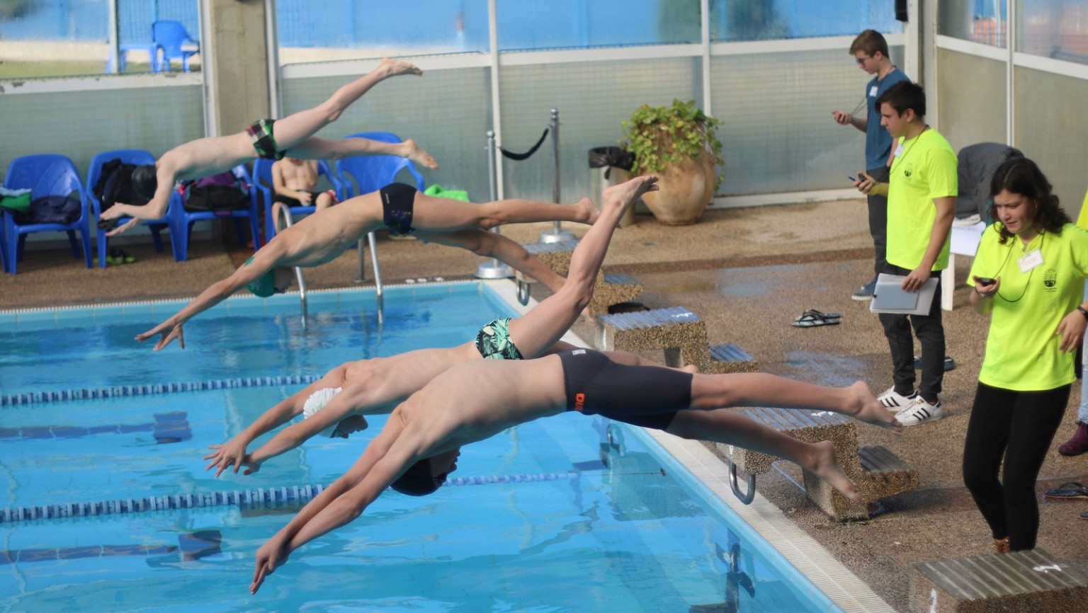 Four swimmers diving into a swimming pool, with poolside officials nearby